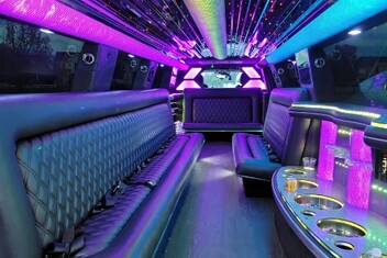 El Monte Limo Interior